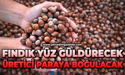 Fındık yüz güldürecek: Üretici paraya boğulacak