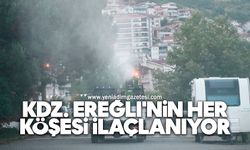 Kdz. Ereğli'nin her köşesi ilaçlanıyor