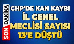 CHP'de kan kaybı: İl Genel Meclisi sayısı 13'e düştü