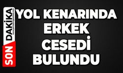 Yol kenarında erkek cesedi bulundu