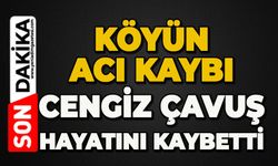 Köyün acı kaybı: Cengiz Çavuş hayatını kaybetti