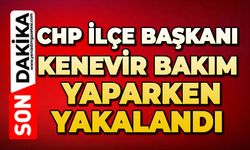 CHP İlçe Başkanı kenevir bakımı yaparken yakalandı