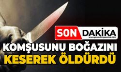 Komşusunun boğazını keserek öldürdü