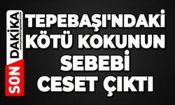 Tepebaşı'ndaki kötü kokunun sebebi ceset çıktı