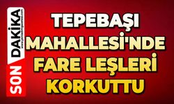 Tepebaşı Mahallesi'nde fare leşleri korkuttu