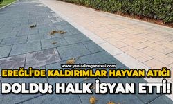 Ereğli'de kaldırımlar hayvan atığı doldu: Halk isyan etti!