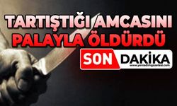 Tartıştığı amcasını palayla öldürdü
