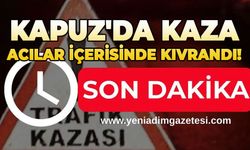 Kapuz'da kaza: Acılar içinde kıvrandı!