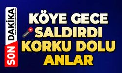 Gece saldırdı: Köyde korku dolu anlar