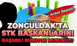 Zonguldak'ta STK Başkanlarını başarılı buluyor musunuz?