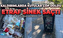 Kaldırımlarda kutular çöp doldu: Etraf sinek saçtı