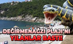 Değirmenağzı Plajı'nı yılanlar bastı!