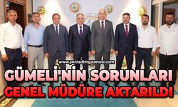 Gümeli'nin sorunları Genel Müdüre aktarıldı