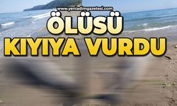 Ölüsü kıyıya vurdu