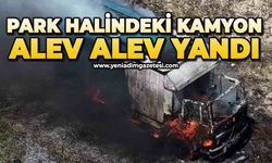 Park halindeki kamyonun alev alev yandı