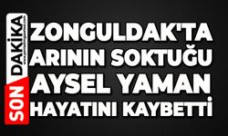 Zonguldak'ta arının soktuğu Aysel Yaman hayatını kaybetti
