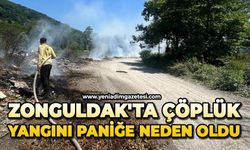 Zonguldak'ta çöplük yangını paniğe neden oldu