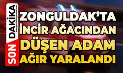 Zonguldak'ta incir ağacından düşen adam ağır yaralandı