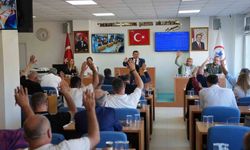 Düzce Belediyesi hizmet araçları alacak