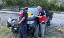 Kaçak palamut avlayan 10 kişiye cezai işlem uygulandı