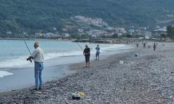 Karadeniz'de balık bolluğu yaşanıyor