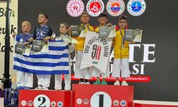 Karateciler Gemlik'te zirveye çıktı