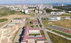 Kastamonu Üniversitesi, bezelye kabuklarından biyokömür üretecek