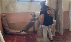 Uyuşturucu operasyonunda 5 şüpheli tutuklandı