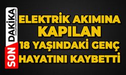 Elektrik akımına kapılan 18 yaşındaki genç hayatını kaybetti