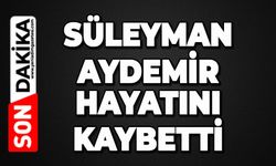 Süleyman Aydemir hayatını kaybetti