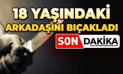 Tartışığı 18 yaşındaki arkadaşını bıçakladı