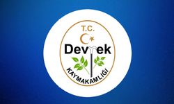 Devrek Kaymakamlığı Milli Emlak Şefliği taşınmazların kiralanması işi