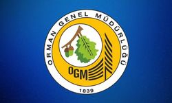 Kandilli Ekoturizm Alanı Doğa Yürüyüş Parkuru Donatıları Yapım İşi 2 Kısım