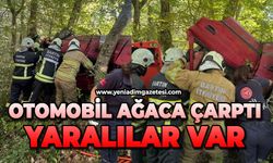 Kontrolden çıkan otomobil ağaca çarptı: Yaralılar var
