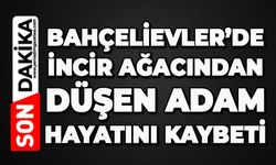Bahçelievler'de feci ölüm: İncir ağacından düşen adam hayatını kaybetti