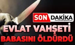 Tartıştığı babasını bıçaklayarak öldürdü