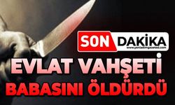 Tartıştığı babasını öldürdü