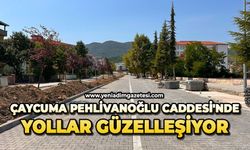 Çaycuma Pehlivanoğlu Caddesi'nde yollar güzelleşiyor