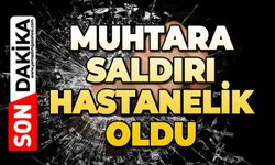 Muhtara saldırı: Hastanelik oldu