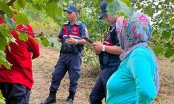 Fındık tarlalarında jandarma nöbeti