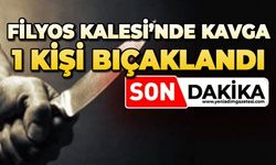 Filyos Kalesi’nde kavga: 1 kişi bıçaklandı