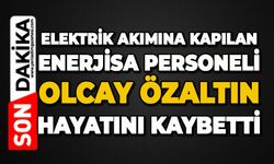 Elektrik akımına kapılan Enerjisa personeli Olcay Özaltın feci şekilde can verdi