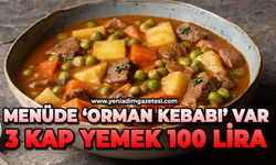 Menüde orman kebabı var: 3 kap yemek 100 lira
