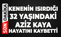 Kenenin ısırdığı 32 yaşındaki Aziz Kaya hayatını kaybetti