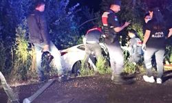 Trafik kazası: 1 yaralı