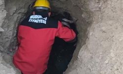 Çukurda mahsur kalan keçiyi itfaiye ekipleri kurtardı