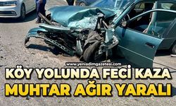 Köy yolunda feci kaza: Muhtar ağır yaralı