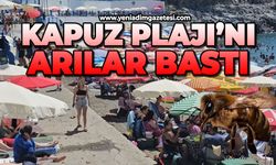 Kapuz Plajı'nı arılar bastı