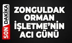 Zonguldak Orman İşletme'nin acı günü