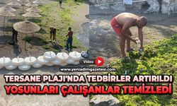 Tersane Plajı'nda tedbirler artırıldı: Yosunları çalışanlar temizledi